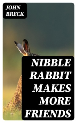 Nibble Rabbit Makes More Friends