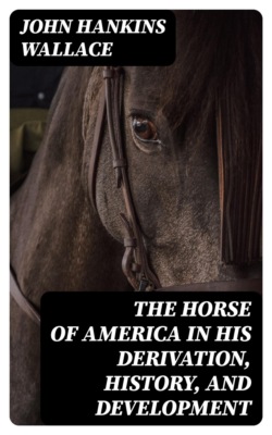 The Horse of America in His Derivation, History, and Development