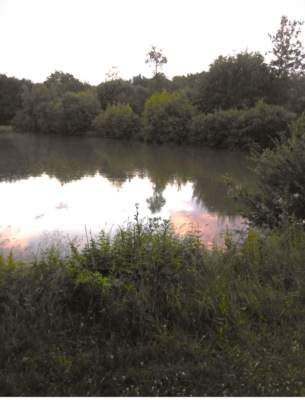 Der Teich meines Onkels