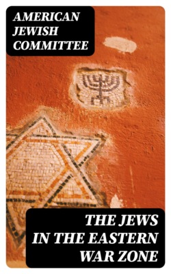 The Jews in the Eastern War Zone