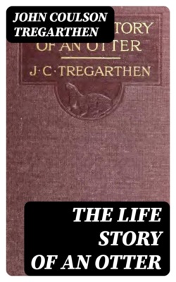 The Life Story of an Otter