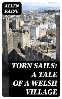 Torn Sails: A Tale of a Welsh Village