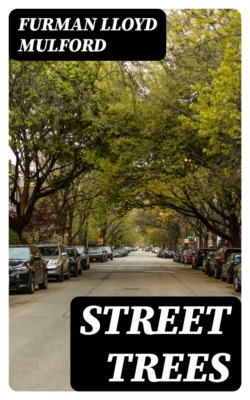 Street Trees