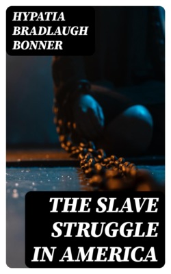 The Slave Struggle in America