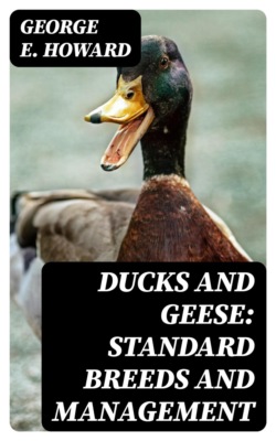 Ducks and Geese: Standard Breeds and Management