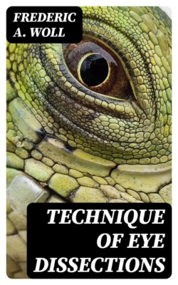 Technique of Eye Dissections