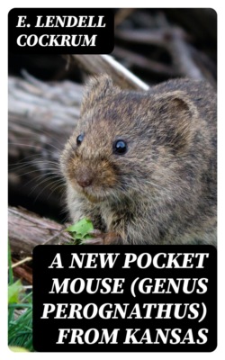 A New Pocket Mouse (Genus Perognathus) from Kansas