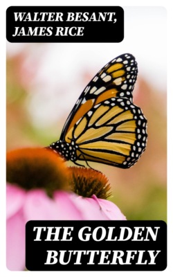 The Golden Butterfly