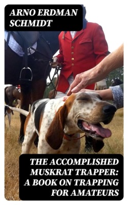The Accomplished Muskrat Trapper: A Book on Trapping for Amateurs