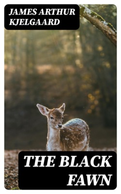 The Black Fawn