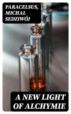 A New Light of Alchymie