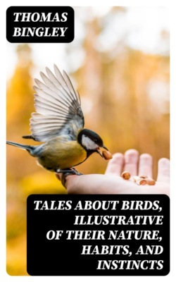 Tales About Birds, Illustrative of Their Nature, Habits, and Instincts