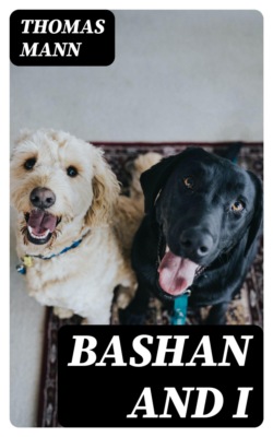 Bashan and I