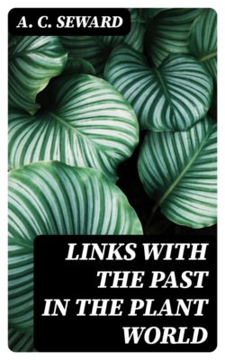 Links With the Past in the Plant World