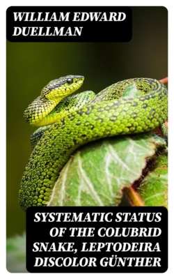 Systematic Status of the Colubrid Snake, Leptodeira discolor Günther