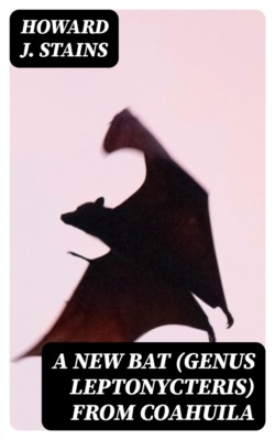 A New Bat (Genus Leptonycteris) From Coahuila