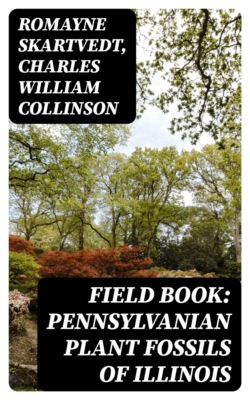 Field Book: Pennsylvanian Plant Fossils of Illinois