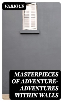 Masterpieces of Adventure—Adventures within Walls
