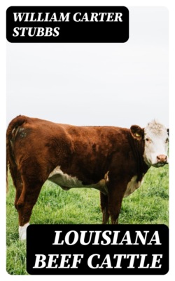 Louisiana Beef Cattle