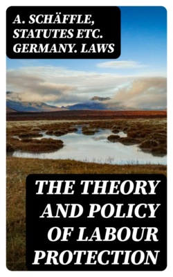 The Theory and Policy of Labour Protection