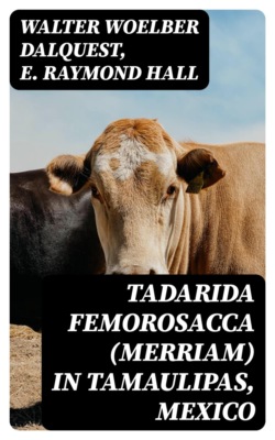 Tadarida femorosacca (Merriam) in Tamaulipas, Mexico