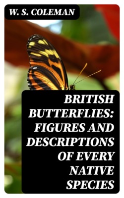 British Butterflies: Figures and Descriptions of Every Native Species