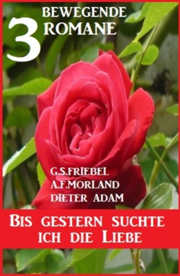 Bis gestern suchte ich die Liebe: 3 bewegende Romane