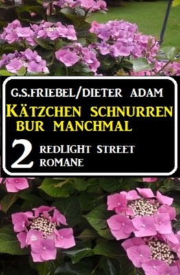 Kätzchen schnurren nur manchmal: 2 Redlight Street Romane