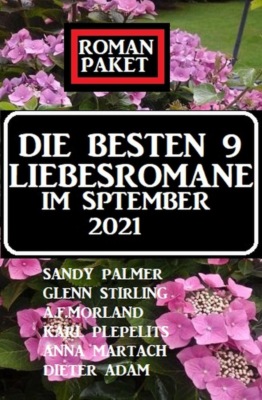 Die besten 9 Liebesromane im September 2021: Roman-Paket