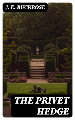The Privet Hedge