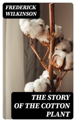 The Story of the Cotton Plant