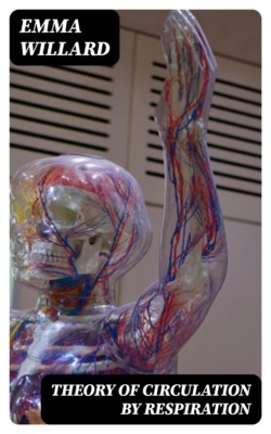 Theory of Circulation by Respiration