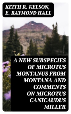 A New Subspecies of Microtus montanus from Montana and Comments on Microtus canicaudus Miller
