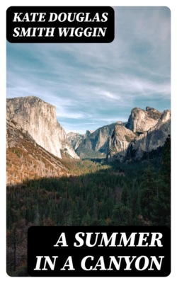 A Summer in a Canyon