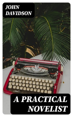 A Practical Novelist