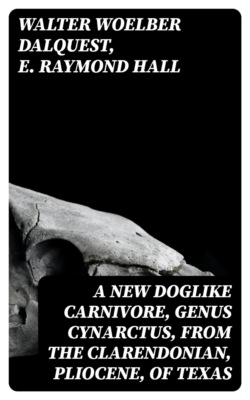 A New Doglike Carnivore, Genus Cynarctus, From the Clarendonian, Pliocene, of Texas