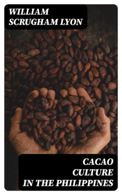 Cacao Culture in the Philippines