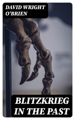 Blitzkrieg in the Past