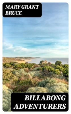 Billabong Adventurers