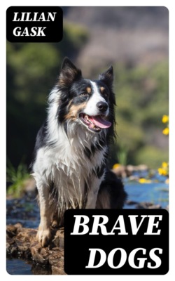 Brave Dogs
