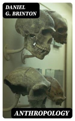 Anthropology