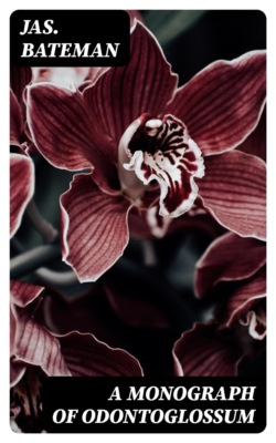 A Monograph of Odontoglossum