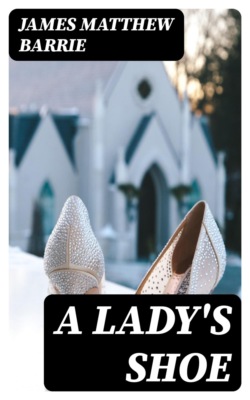 A Lady's Shoe