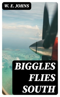 Biggles Flies South