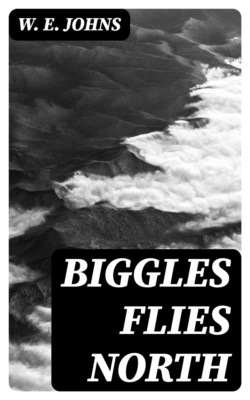Biggles Flies North