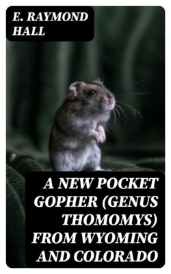A New Pocket Gopher (Genus Thomomys) From Wyoming and Colorado