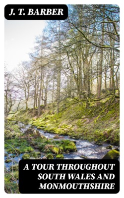 A Tour throughout South Wales and Monmouthshire