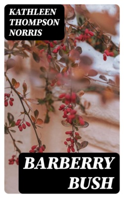 Barberry Bush