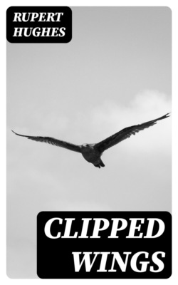 Clipped Wings