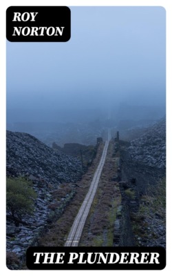 The Plunderer